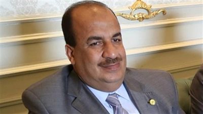 لجنة الشؤون الاقتصادية بمجلس النواب تقدم مقترحات لدعم مبادرة 