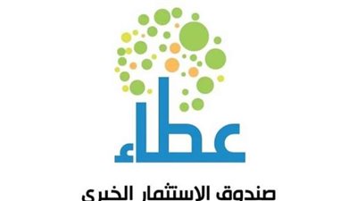 صندوق دعم ذوي الإعاقة 