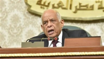 عاجل| مجلس النواب ينتقد قرار البرلمان الأوروبي بشأن حالة حقوق الإنسان في مصر