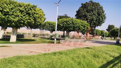 تركيب 111 عمود إنارة لتطوير شارع الكورنيش بحي جنوب المنيا