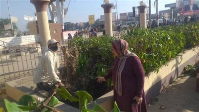 تطوير النصب التذكارى لشهداء ديرمواس جنوب المنيا