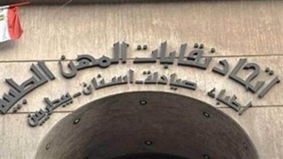 اتحاد المهن الطبية يُرشح حسين خيري ممثلا له بمجلس صندوق المخاطر