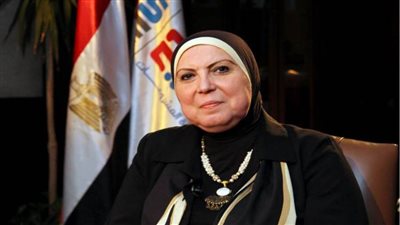 وزيرة التجارة: استراتيجية شاملة لتنمية التعاون مع دول إفريقيا 