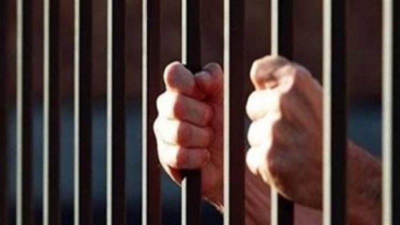 حبس تشكيل عصابي