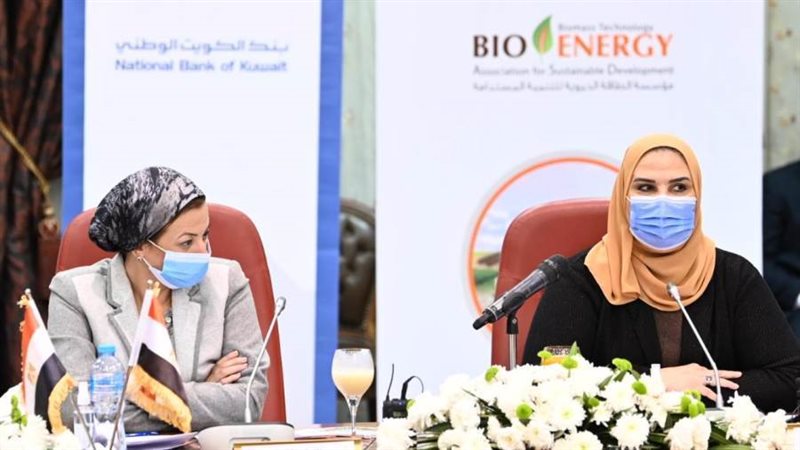 الدكتورة ياسمين فؤاد