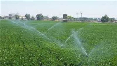 تعرف على حقيقة وجود عجز في مياه الري يؤدي لبوار الأراضي الزراعية بمحافظة الفيوم