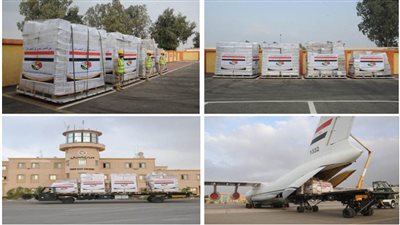 مصر ترسل مساعدات طبية وإنسانية لدولة مالى 