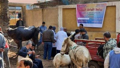 بيطري الشرقية ينفذ قوافل بيطرية مجانية للقرية الأكثر احتياجًا