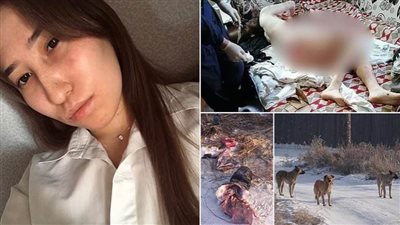 أكلت الجلد والعضم.. 10 كلاب برية تهاجم خبيرة التجميل