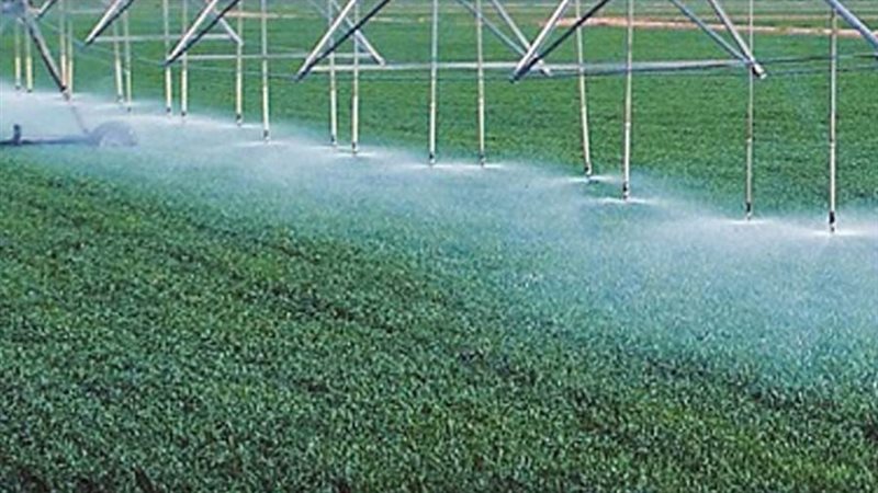 صورة أرشيفة