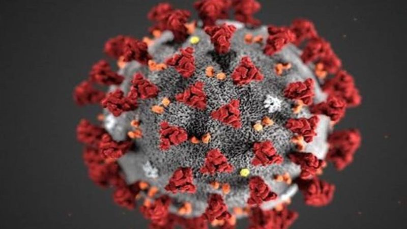 صورة أرشيفة