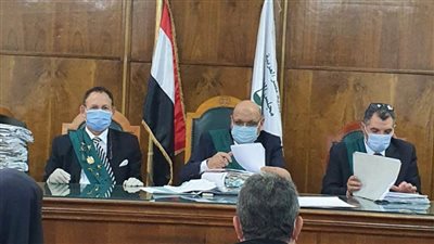 الإدارية العليا تحظر العمل السياسي في الجامعات والمعاهد والوظيفة العامة