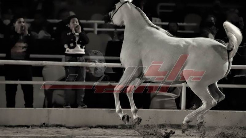 مجموعة أطفال يشجعون