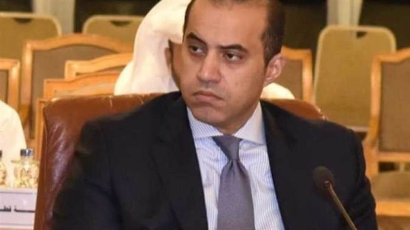 المستشار محمود فوزي