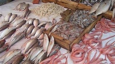 حلقة السمك..اعرف الأسعار والأنواع المتاحة اليوم الخميس 