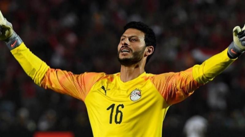 محمد الشناوي