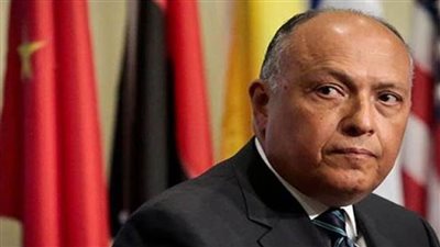 شكرى وعبد العاطى يشاركان فى اجتماع وزراء الخارجية والري حول سد النهضة