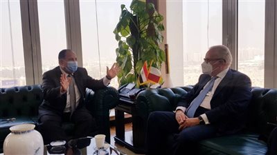 وزير المالية: الاقتصاد المصري مستقر.. وما زال قادرًا على مواجهة «كورونا»