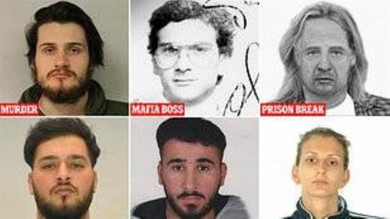 أكثر المطلوبين في