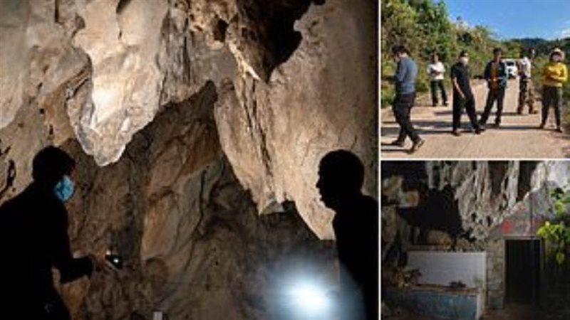 الكهف موطن كورونا