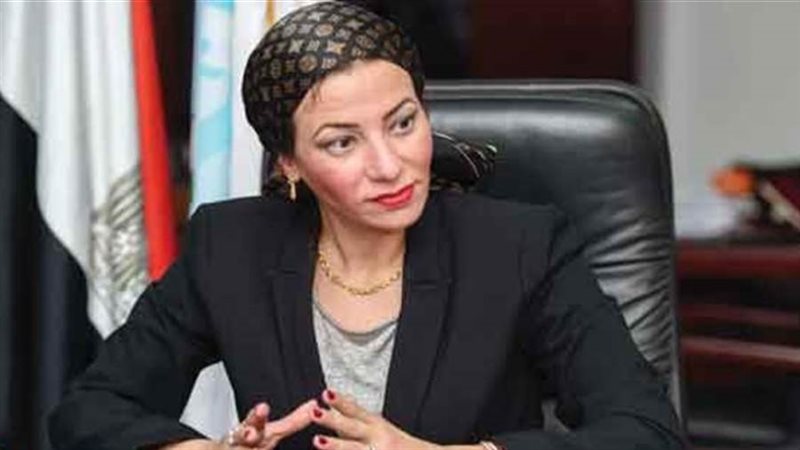 الدكتورة ياسمين فؤاد