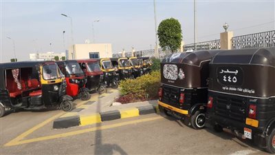  3 حملات لرفع الإشغالات وضبط المخالفات بمدينة بدر
