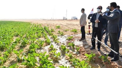الرئيس عبد الفتاح السيسي يتفقد مشروع مستقبل مصر للإنتاج الزراعي