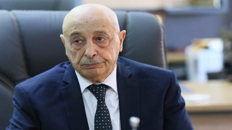 المستشار عقيلة صالح