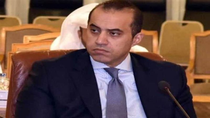 المستشار محمود فوزى