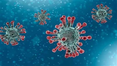 آخر أخبار فيروس كورونا في مصر 11/1/2021