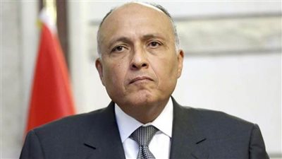 وزير الخارجية يبحث مع نظيره الألماني العلاقات الثنائية والقضايا الإقليمية