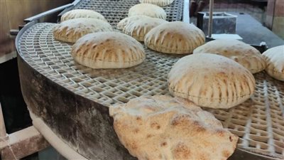 إحالة 92 مخالفة تموينية للنيابة العامة بالدقهلية