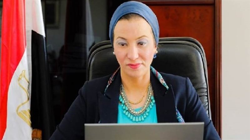 الدكتورة ياسمين فؤاد