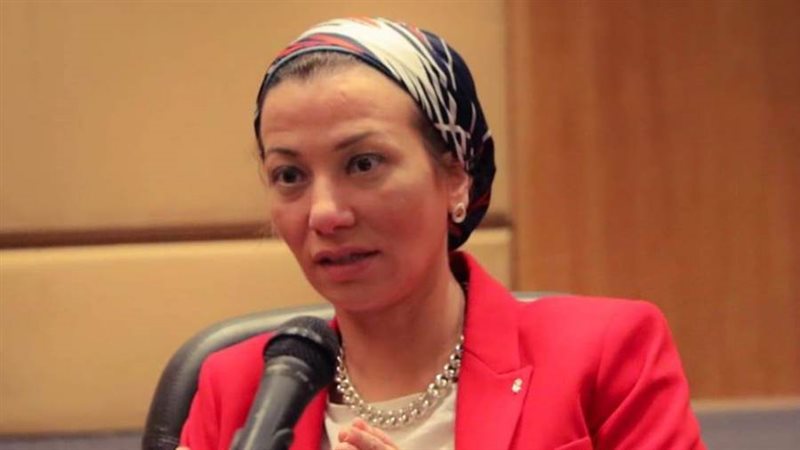 الدكتورة ياسمين فؤاد