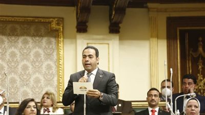 برلماني: أثق في قدرة لجنة الشباب على تحقيق طفرة في ملف الشباب