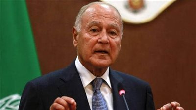 أبو الغيط يؤكد أهمية التحول الرقمي في تطوير الدول العربية اقتصاديا واجتماعيا