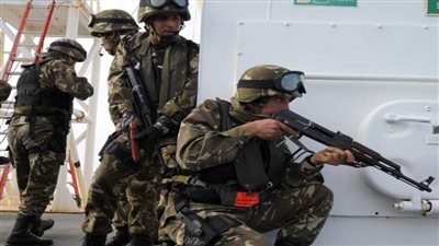 الجيش الجزائري يقضي على إرهابي خطير شمال شرقي البلاد
