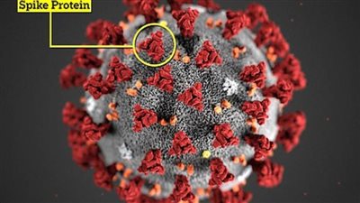 العلماء يحذرون المتغيرات الفائقة لـ
