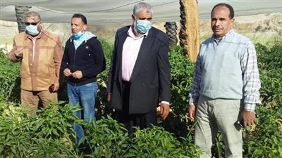 وكيل الزراعة بالوادي الجديد يقوم بجولة تفقدية لـ