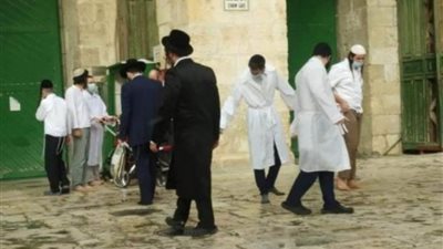 مستوطنون يقتحمون المسجد الأقصى وينفذون جولات استفزازية