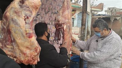 ضبط طن ونصف لحوم ومصنعاتها فاسدة بالدقهلية