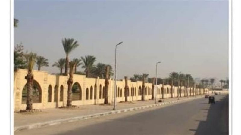 زراعة نخيل على طول