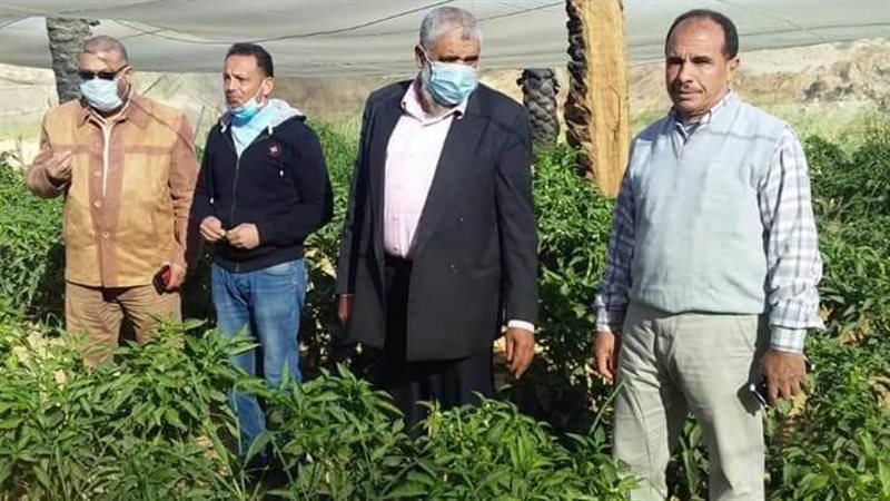 وكيل وزارة الزراعة