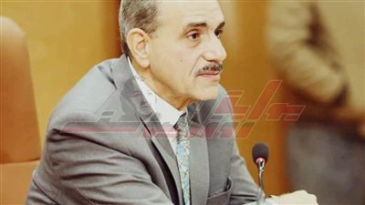 تمويل مشروعات بـ 864 مليون جنيه لتوفير 17220فرصة عمل لشباب كفر الشيخ