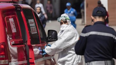 المغرب يسجل 806 إصابات و31 وفاة بـ