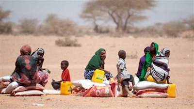 الأمم المتحدة تحذر من عواقب الجفاف ونقص الغذاء في مدغشقر