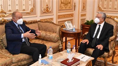 جبالي: الدولة بقيادة الرئيس السيسي لا تألو جهدًا في دعم القضايا العربية