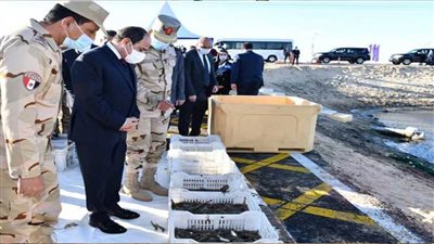 الرئيس السيسي يفتتح مشروع الفيروز للاستزراع السمكي بشرق التفريعة ببورسعيد