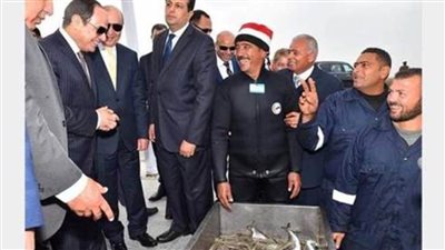 بالفيديو| إنجازات الدولة المصرية بشأن مشروعات الاستزراع السمكي.. أبرزها في بورسعيد