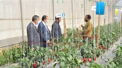  المستشار الثقافي الكويتي بالقاهرة يشيد بجامعة كفر الشيخ 